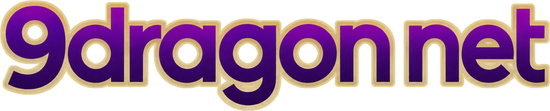 9dragon net logo